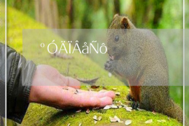 额济纳旗讨债公司如何把握上门催款的时机